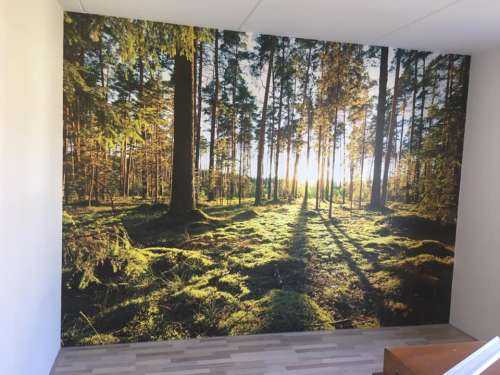 Dennenbos