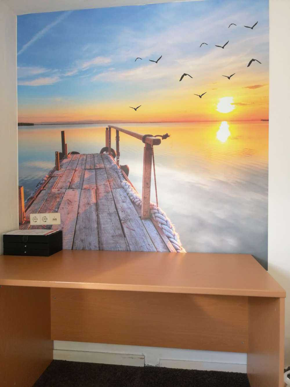 Vogels boven zee
