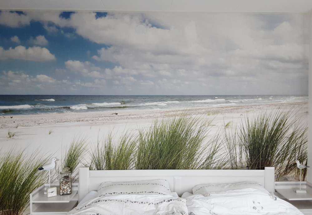 Strand met duinplanten
