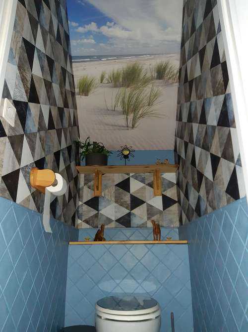 Strand met duinplanten