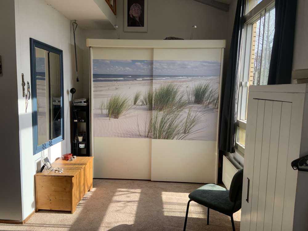 Strand met duinplanten