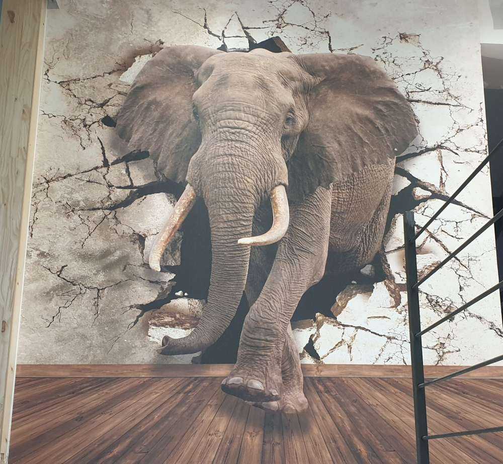 Grote olifant uit de muur