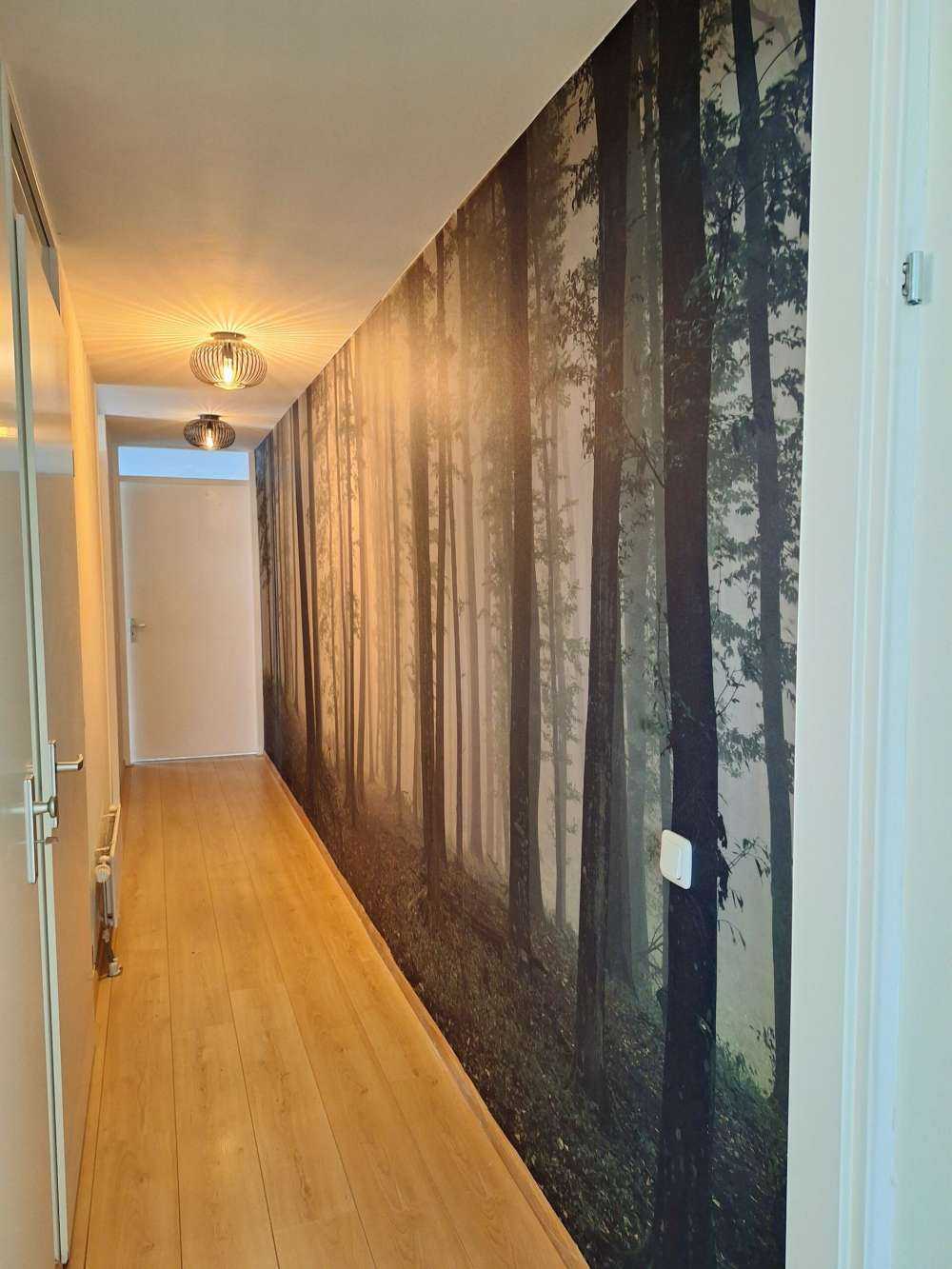 Mist in groen bos