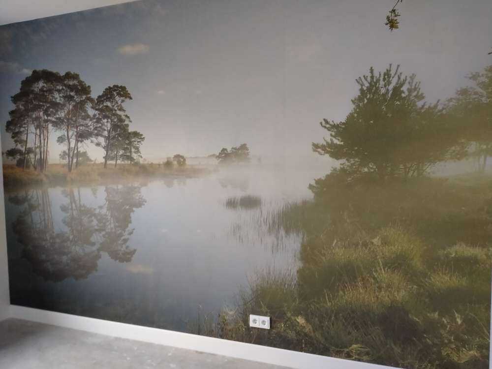Weerspiegeling in heidegebied