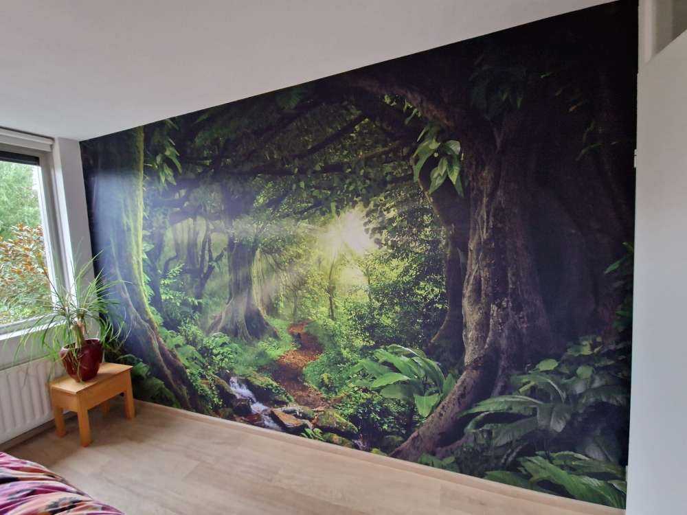 Tropische jungle met zonlicht