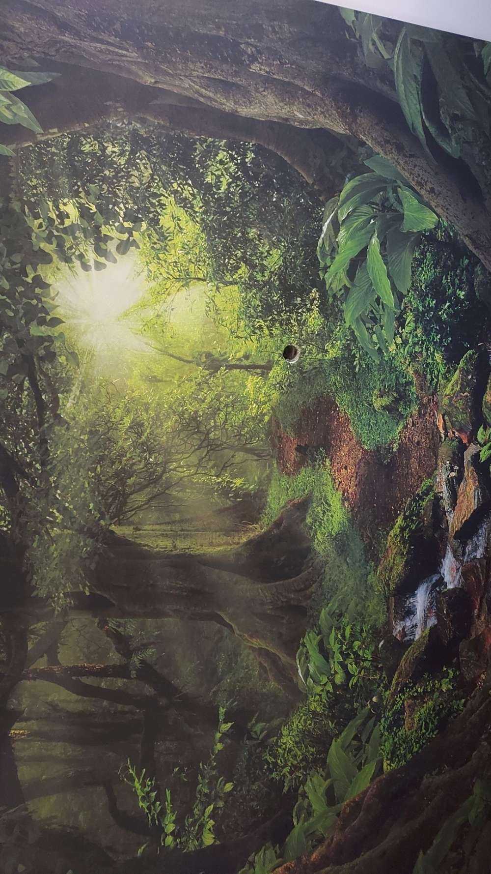 Tropische jungle met zonlicht