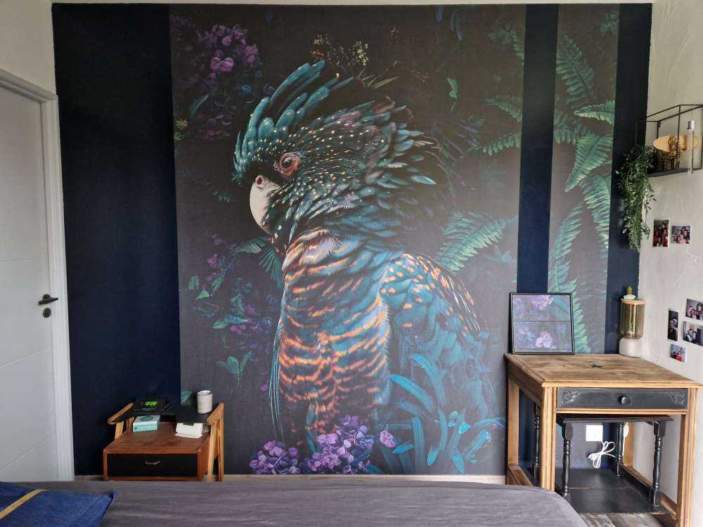 Jungle Cockatoo