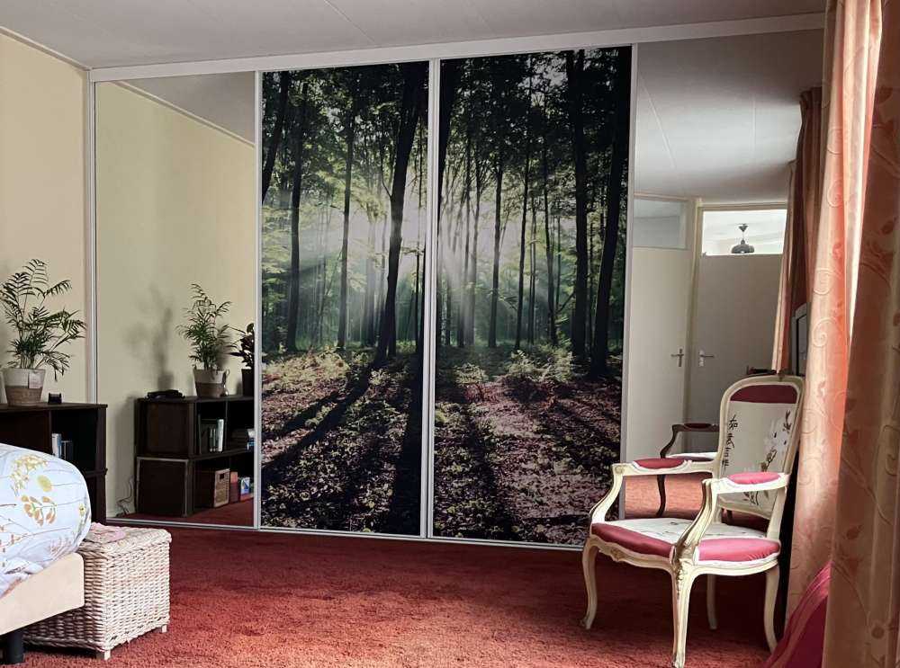 Een ochtend in het bos