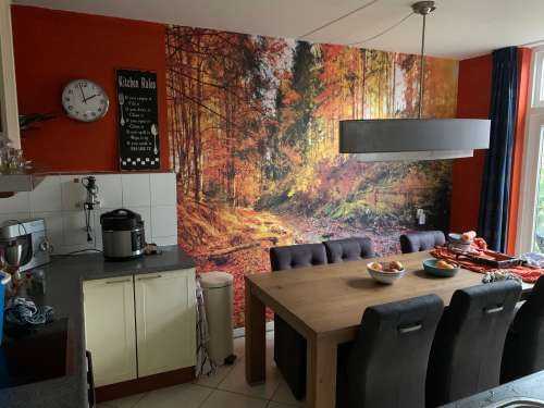 Boom in herfstkleuren