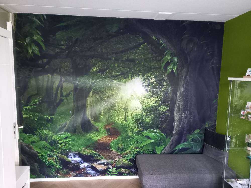 Tropische jungle met zonlicht