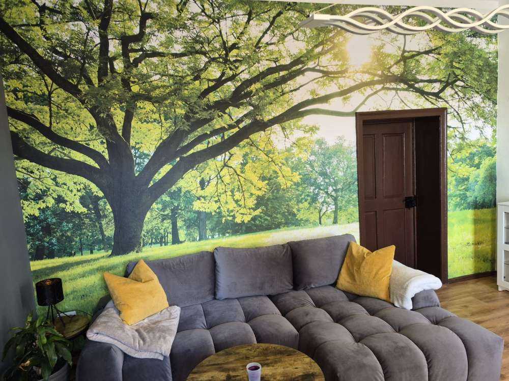 Prachtige boom met groen gras