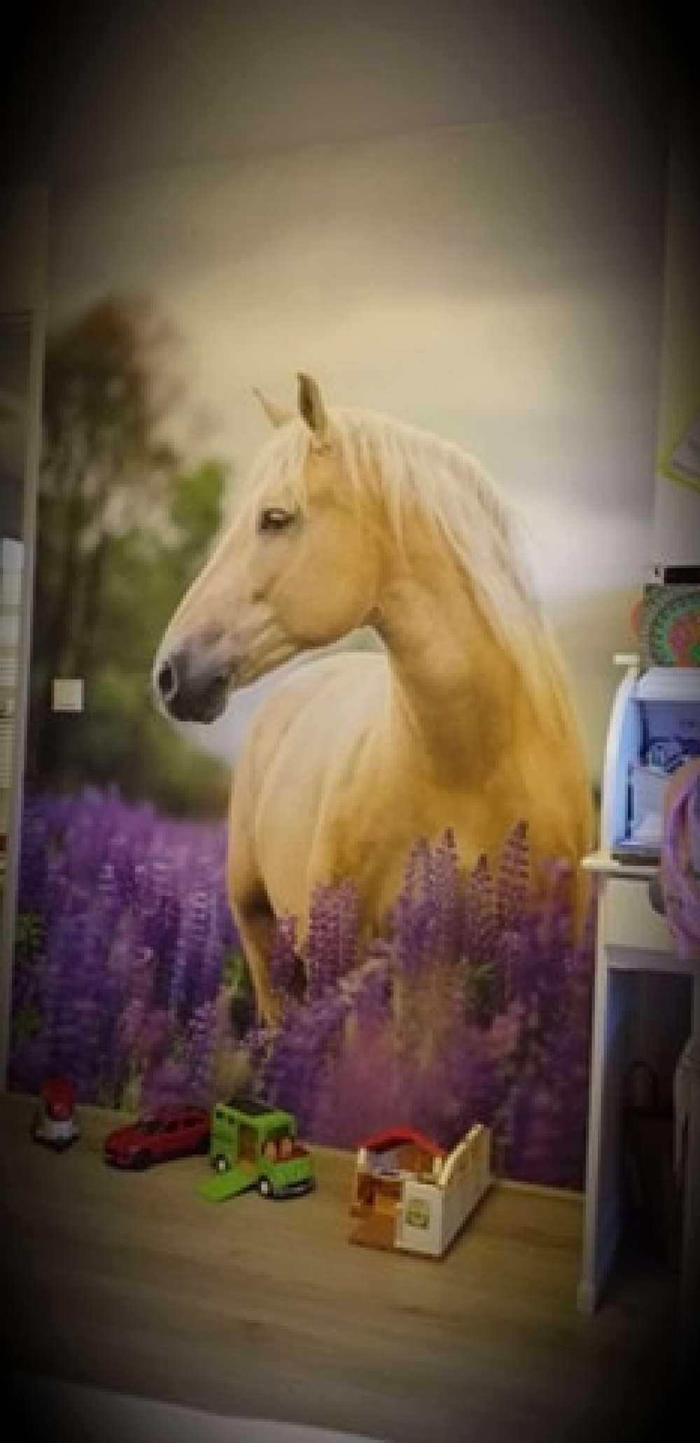 Paard tussen de Lupinus vlinderbloemen