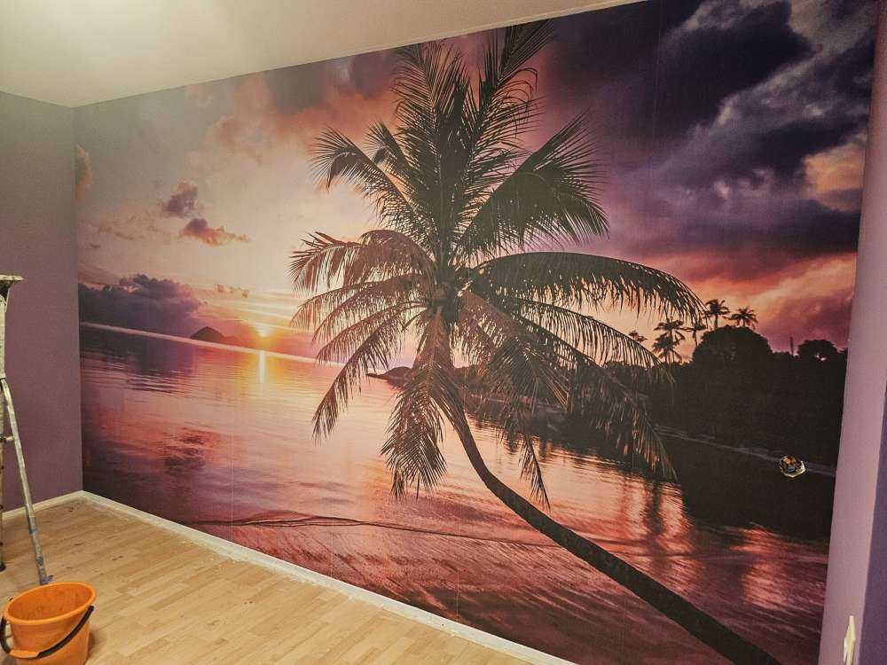 Palmboom bij een zonsondergang