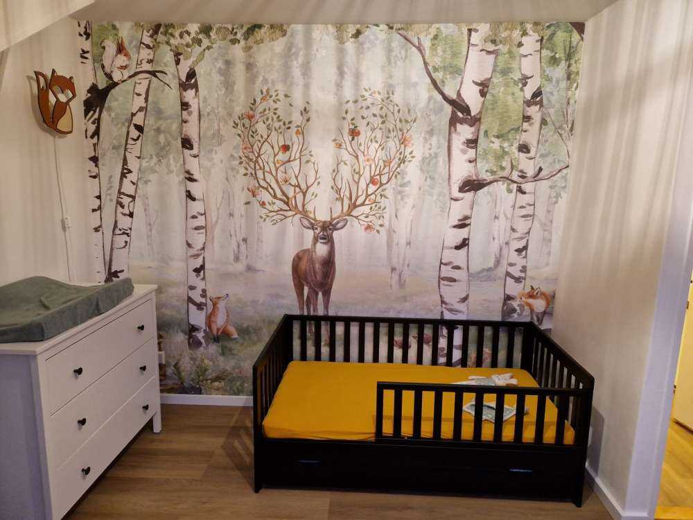 Amazing Antlers - Summer