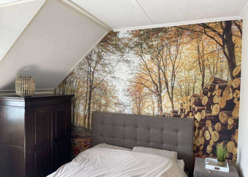 Boomstammen in herfstbos