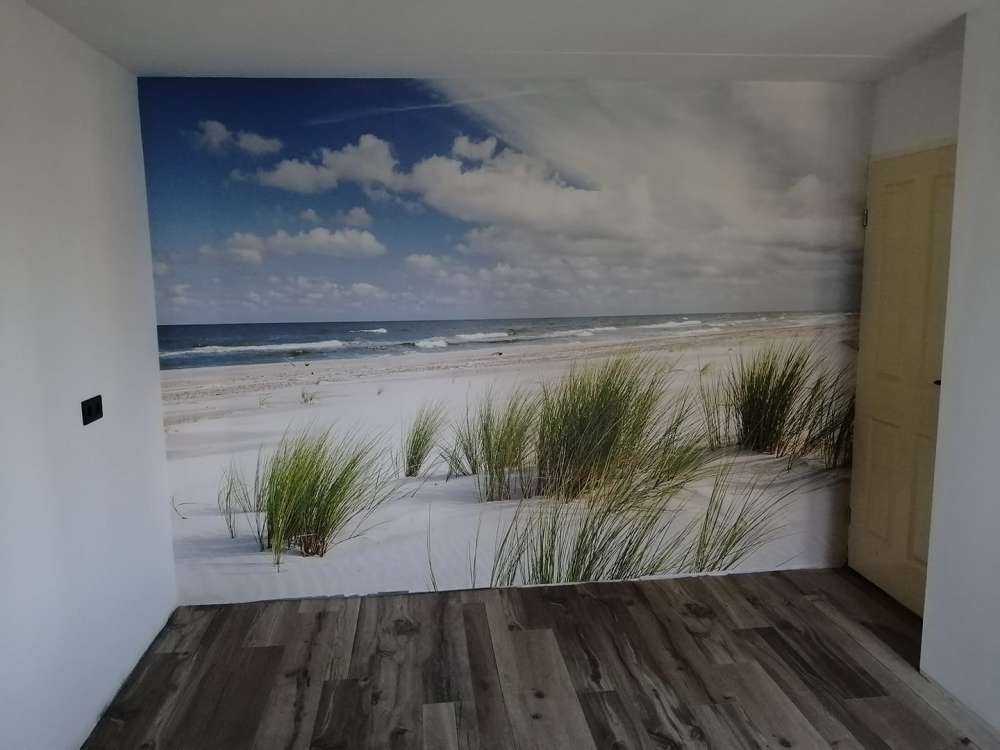 Strand met duinplanten
