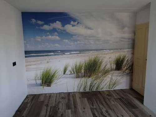 Strand met duinplanten