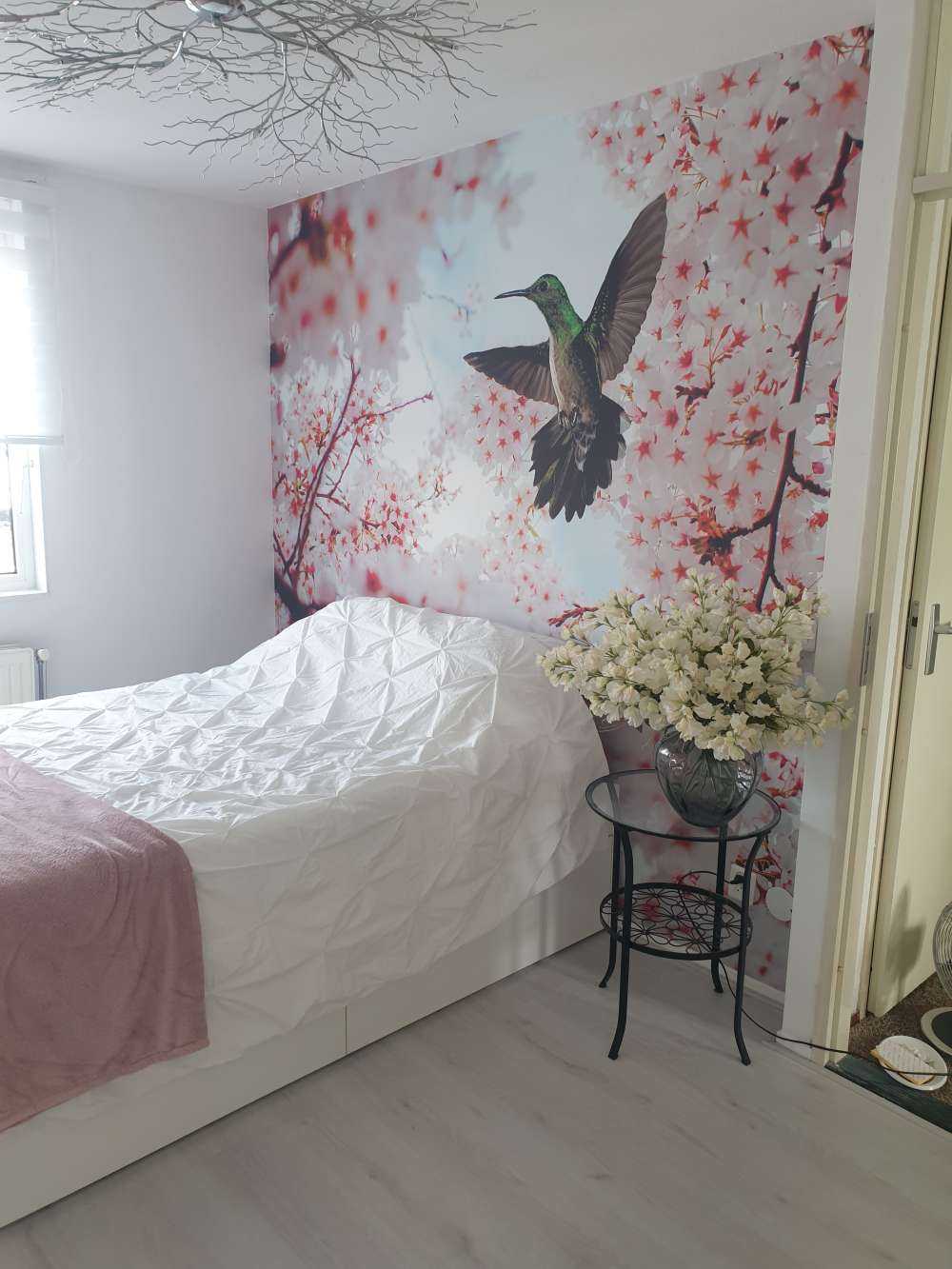 Kolibrie tussen de bloesems