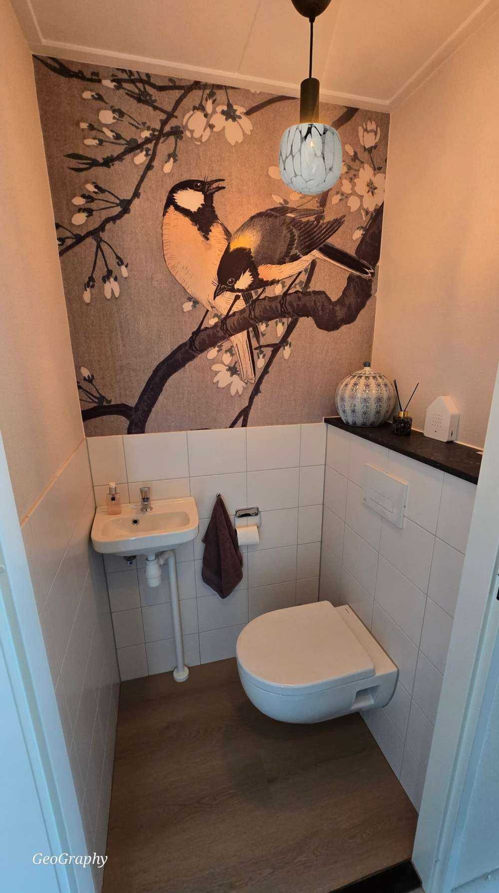 Koolmezen op bloesemtak