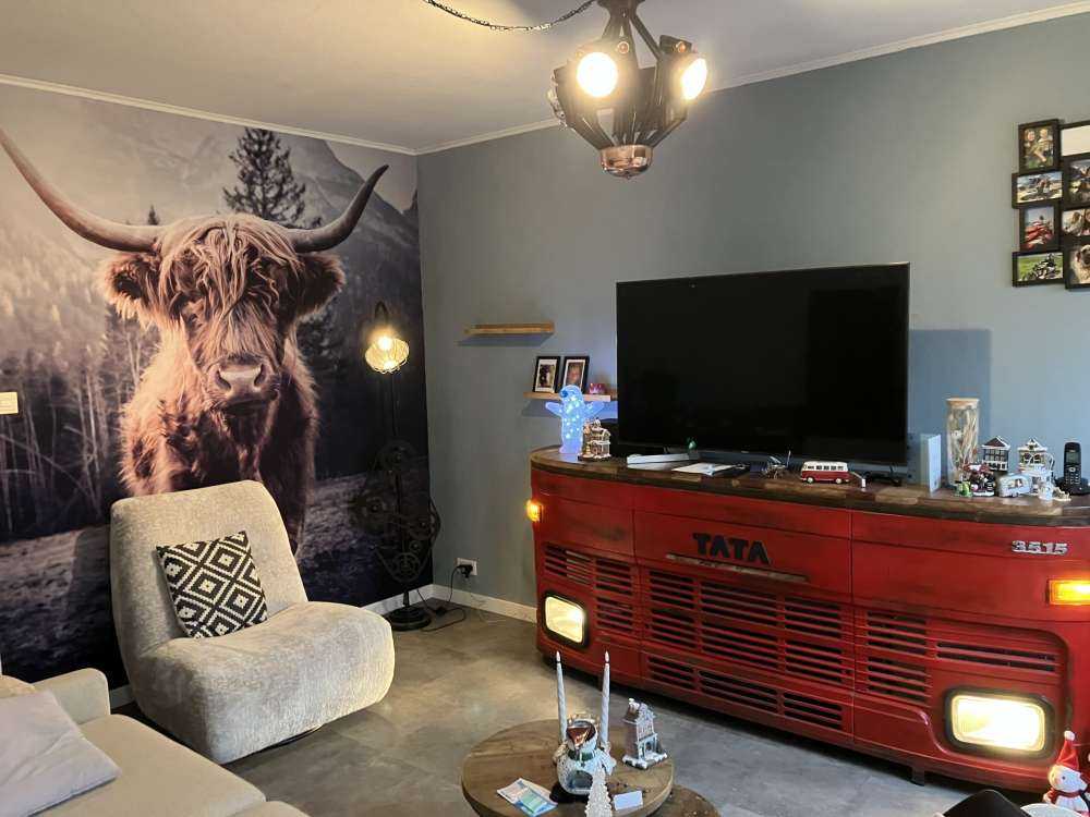 Schotse hooglander bij het bos