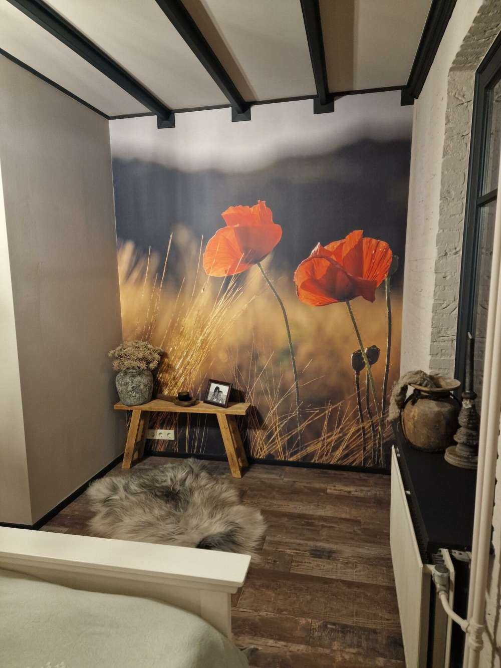 Klaprozen in een tarweveld