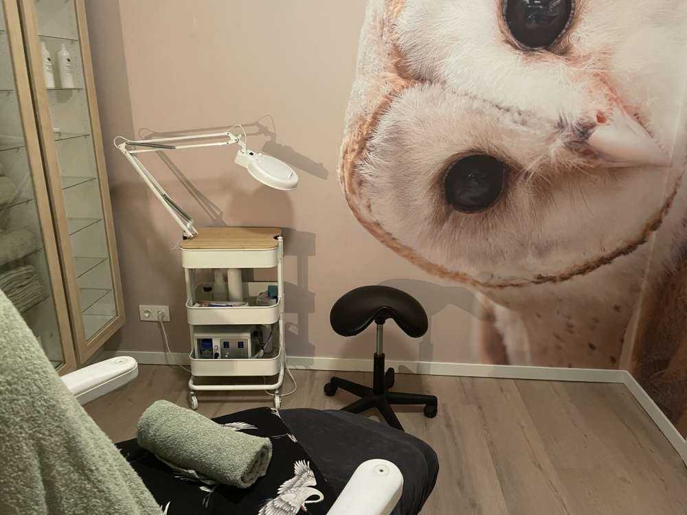 Uil met hoofd schuin