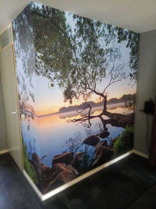 Lake view