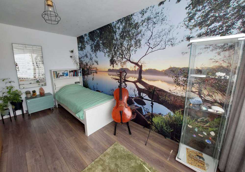 Lake view