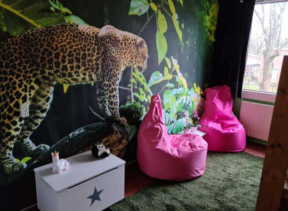 Luipaard op een rotswand