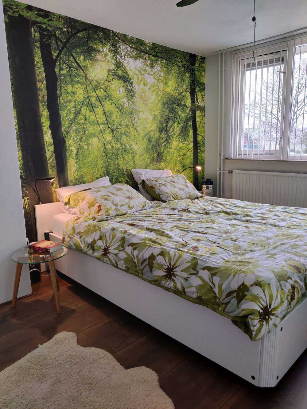 Bos met lichte nevel