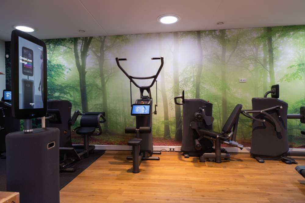 Groen bos panorama