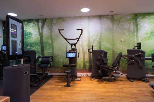 Groen bos panorama