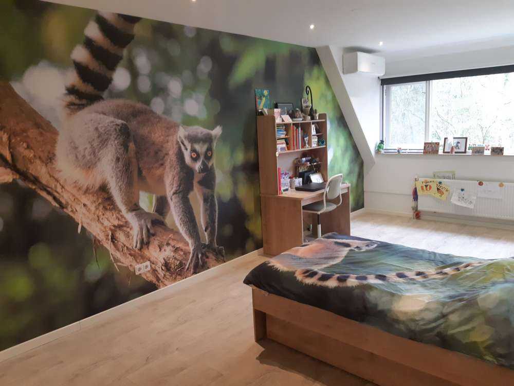 Ringstaart aap in een boom