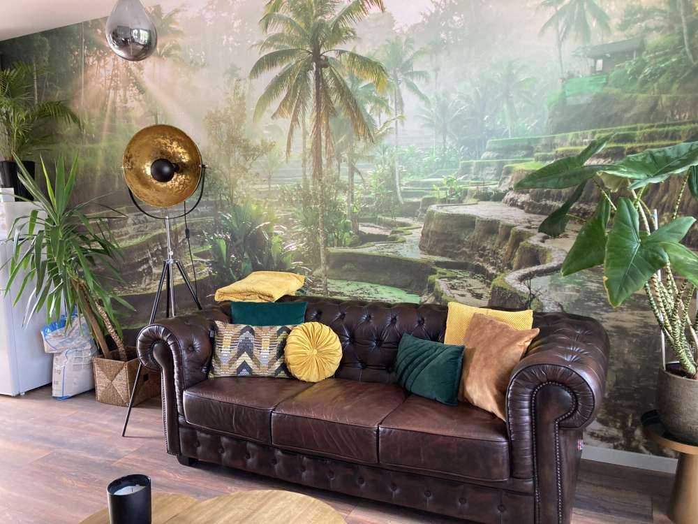 Rijstvelden in de jungle