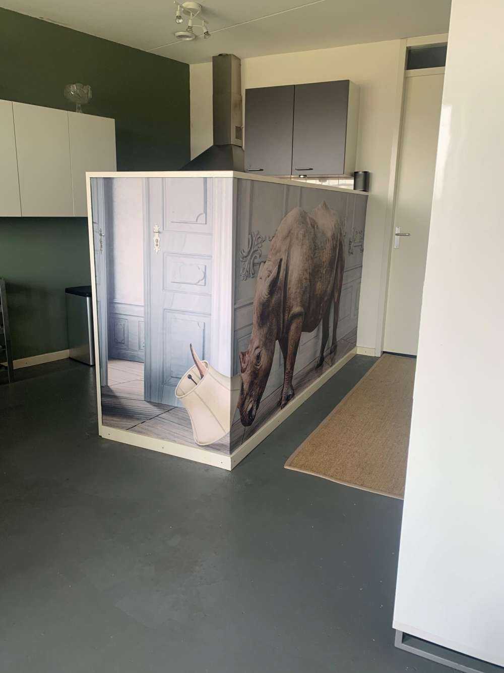 Neushoorn met lampenkap