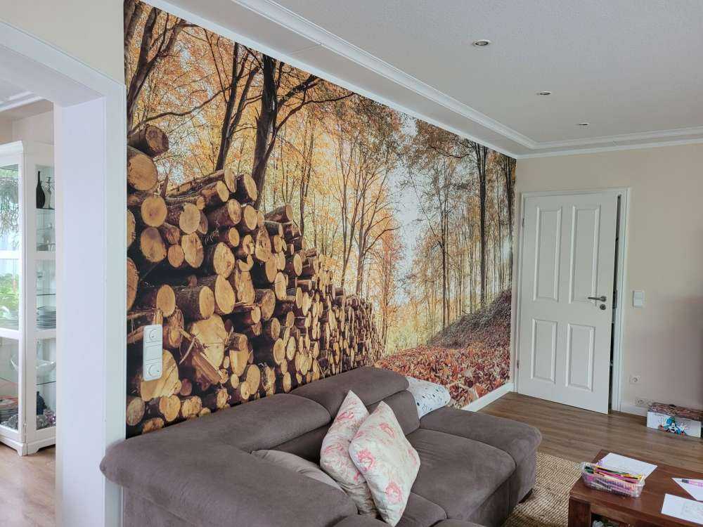 Boomstammen in herfstbos