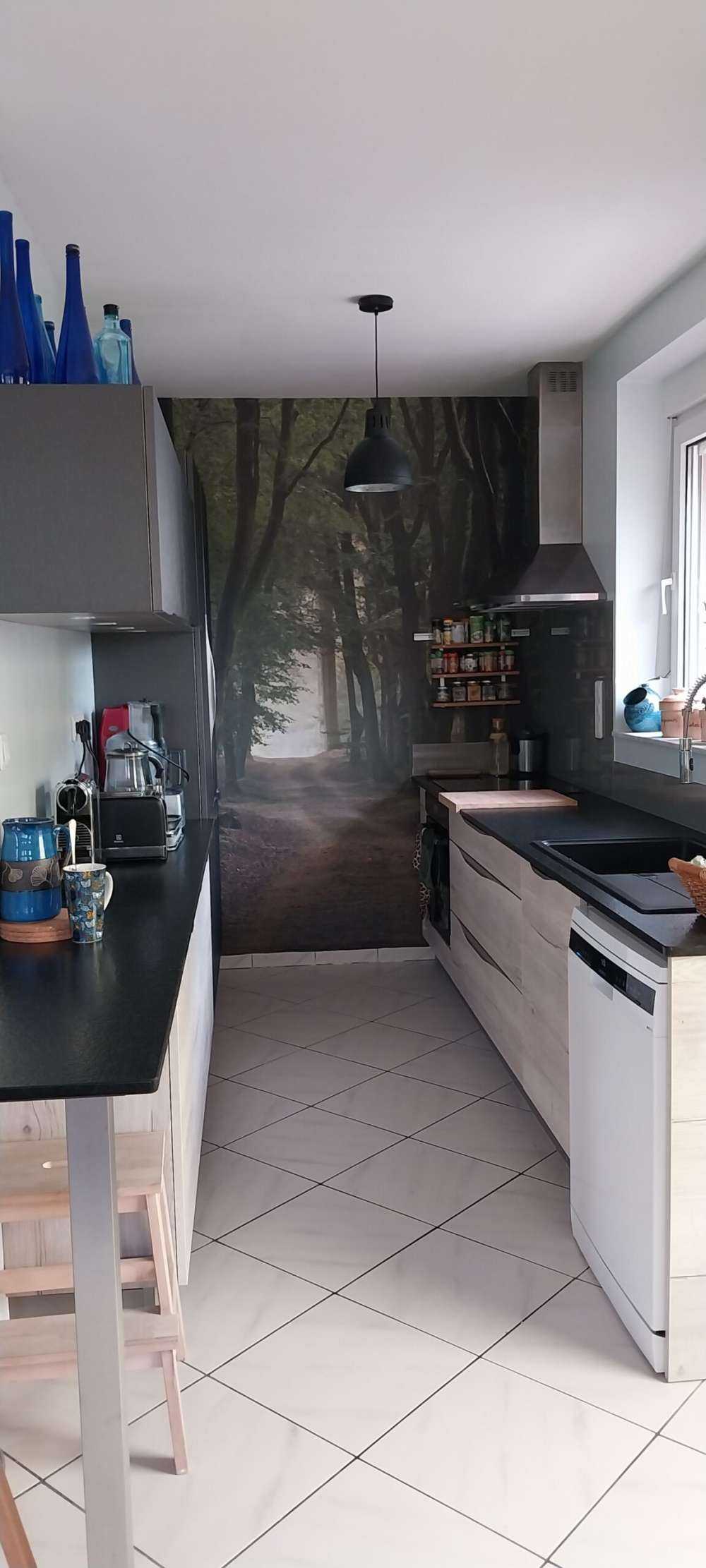 Zandpad in het bos