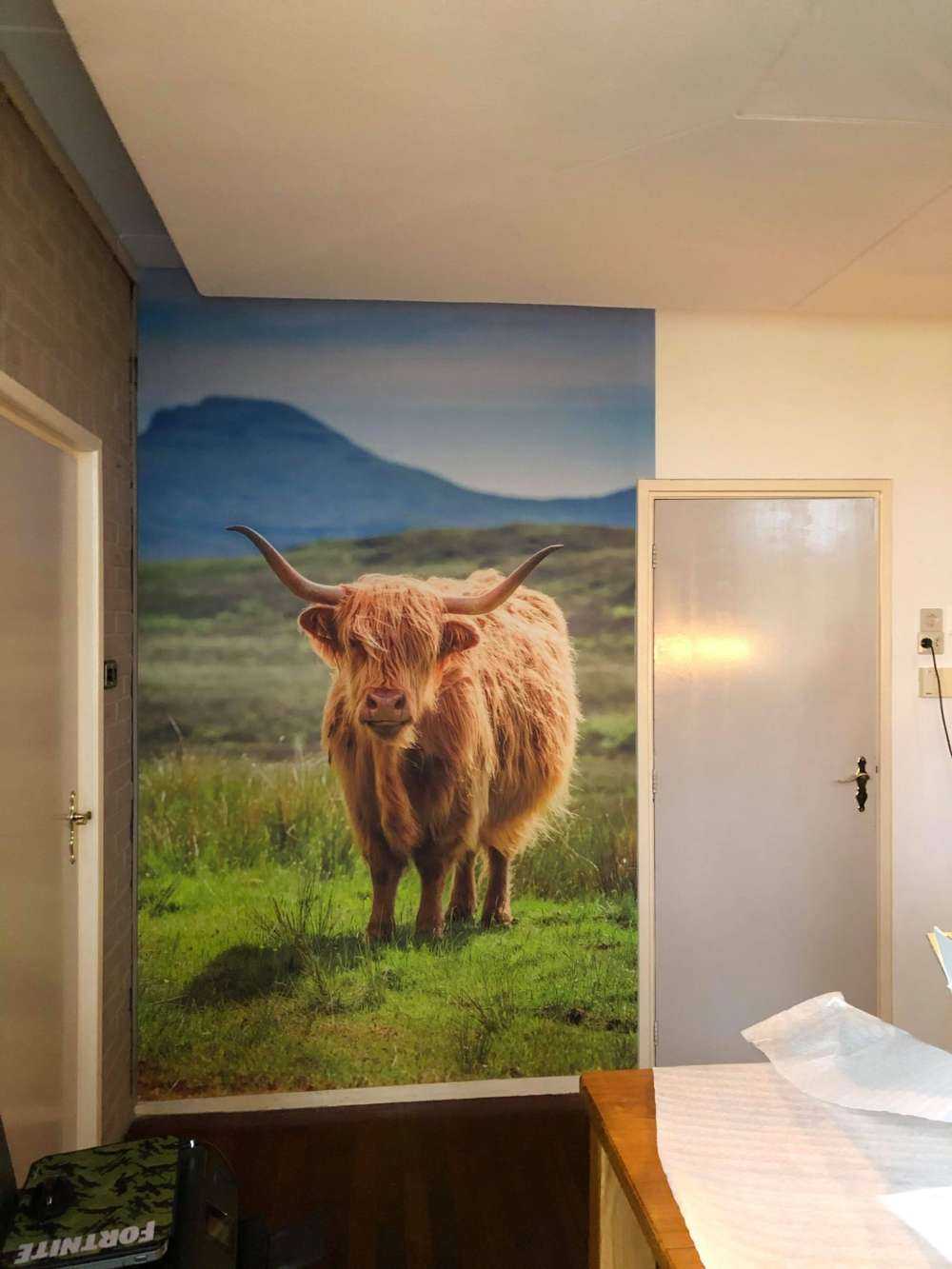 Schotse Hooglander in een berglandschap