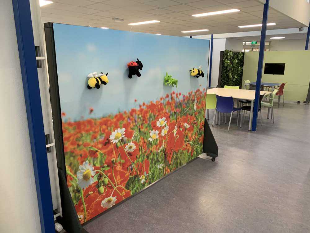 Klaprozen en Madeliefjes