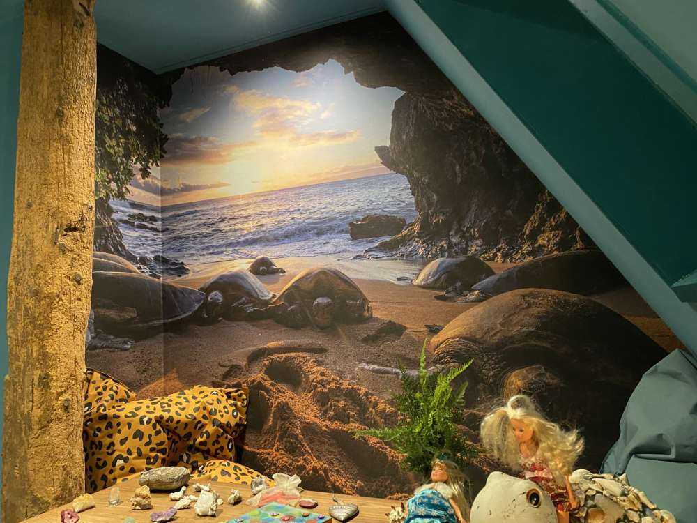 Schildpadden in een grot