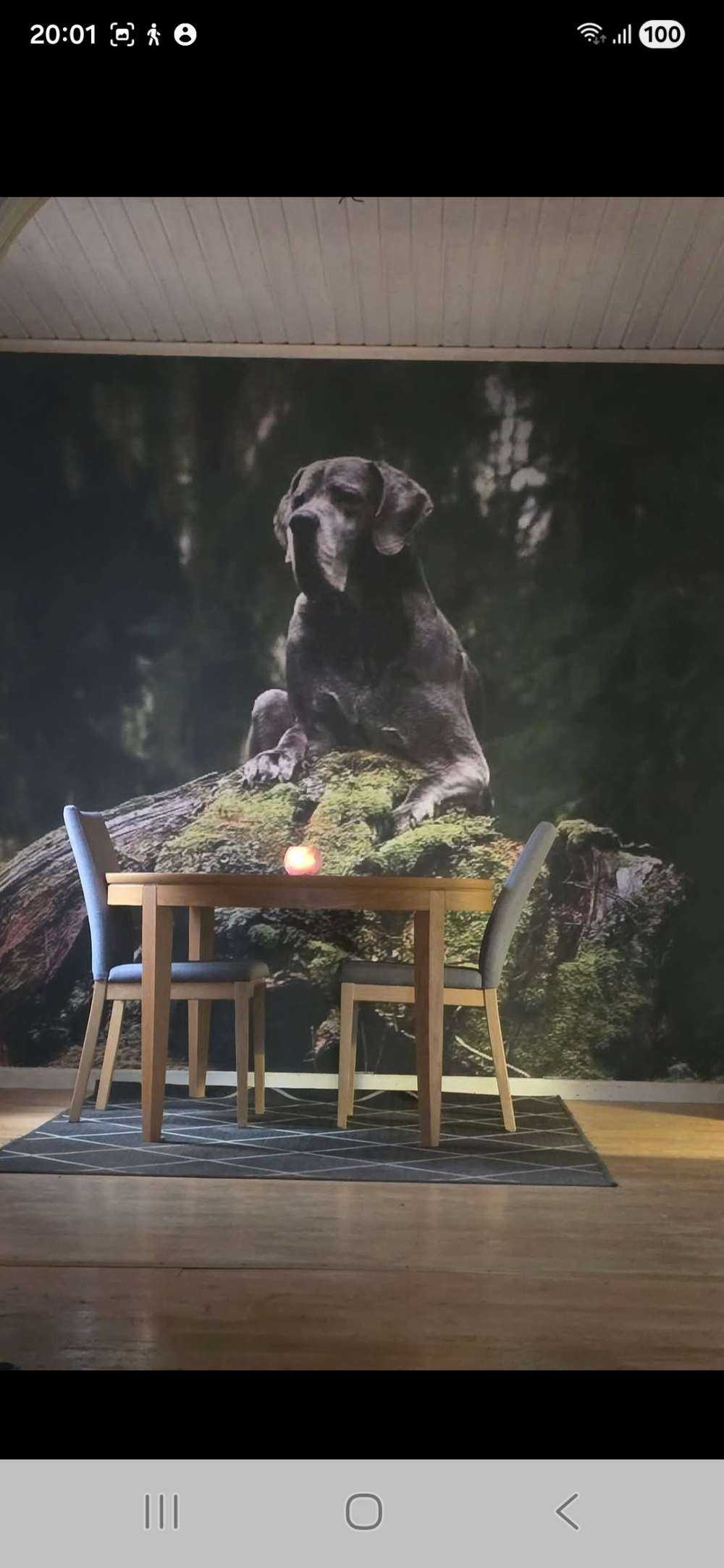 Behang met eigen foto