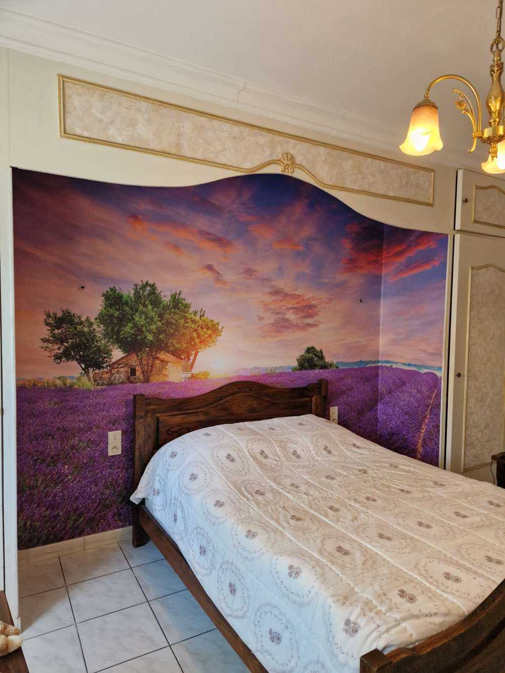 Lavendelveld tijdens zonsopkomst