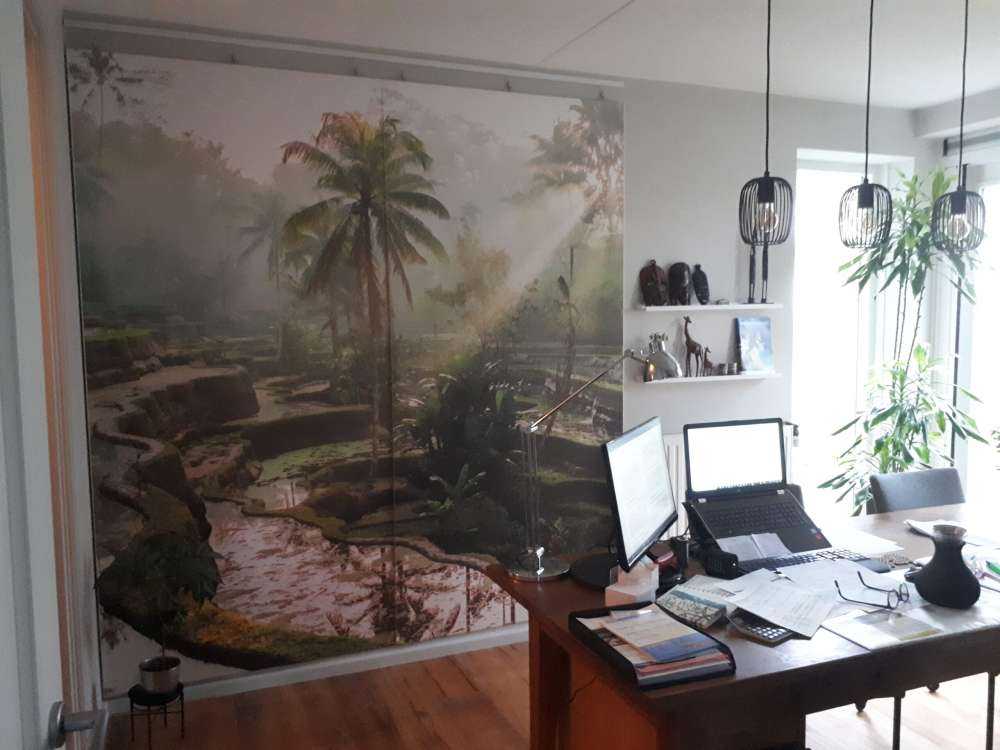 Rijstvelden in de jungle