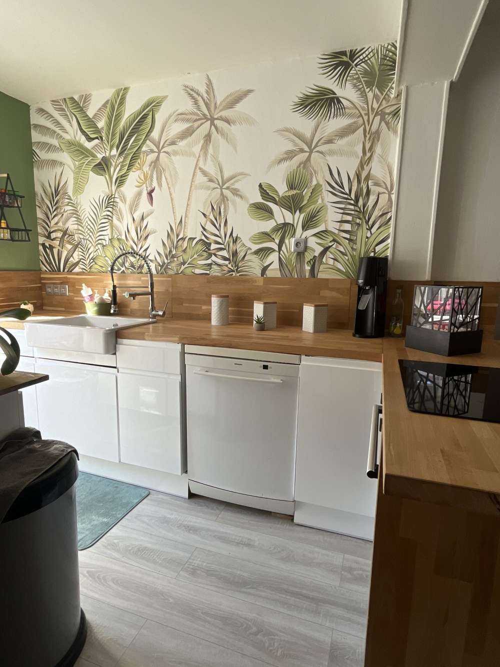 Jungle planten