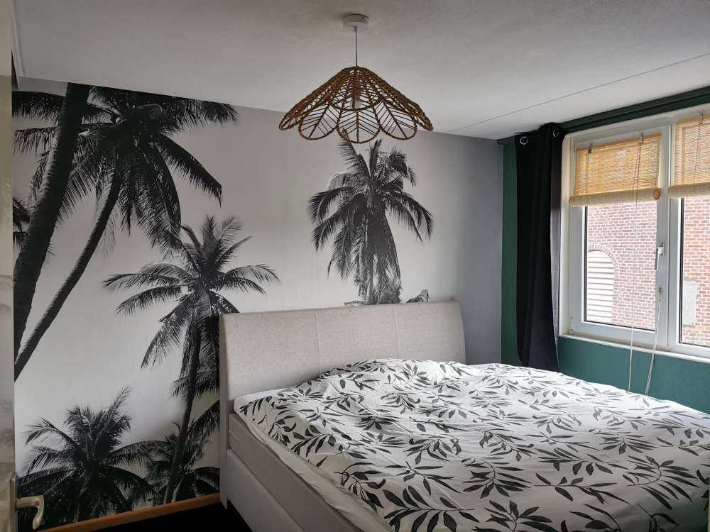 Palmbomen in zwart-wit