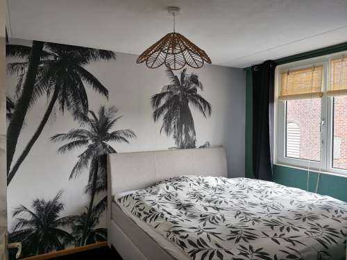 Palmbomen in zwart-wit