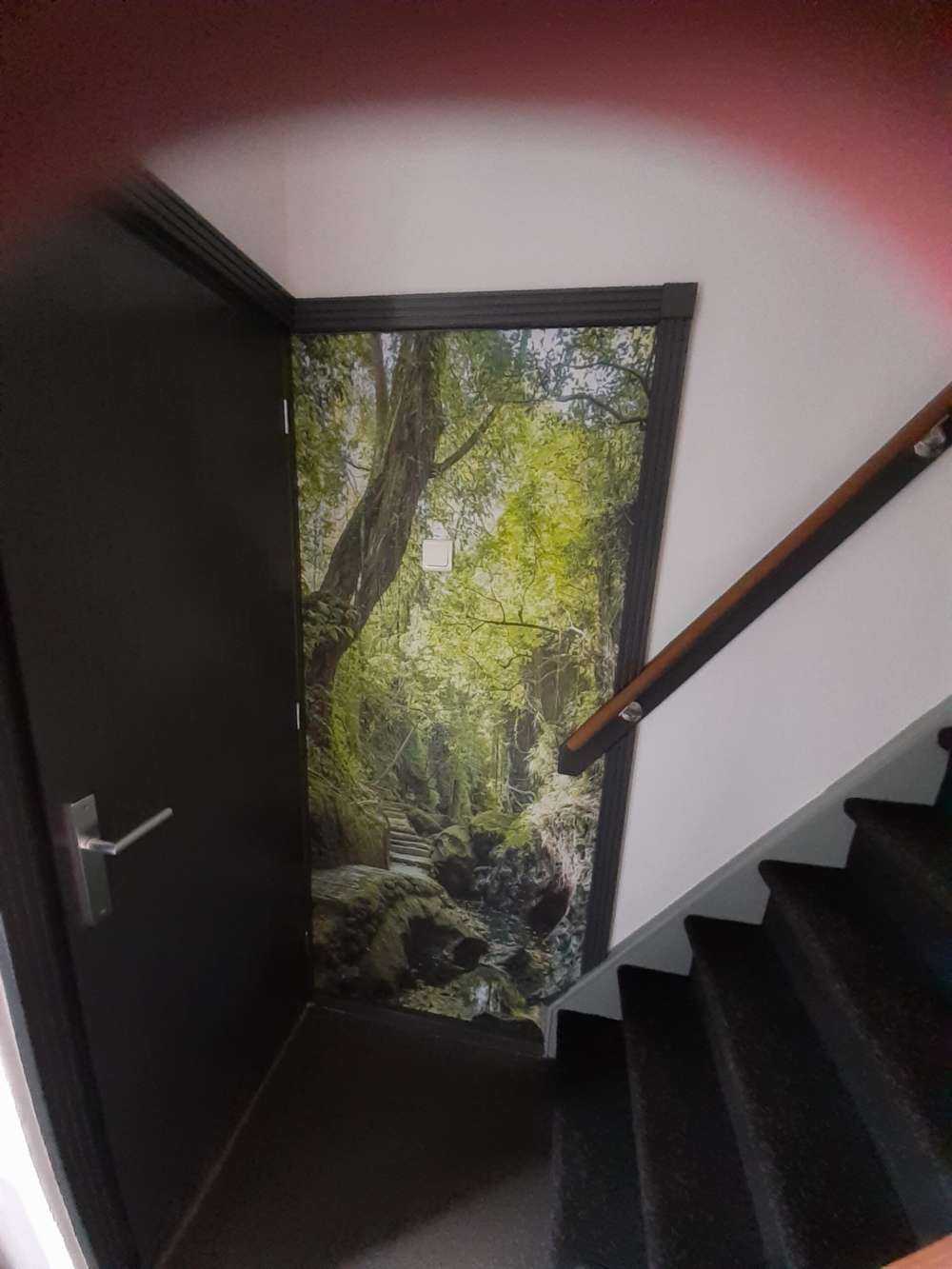 Pad door de jungle