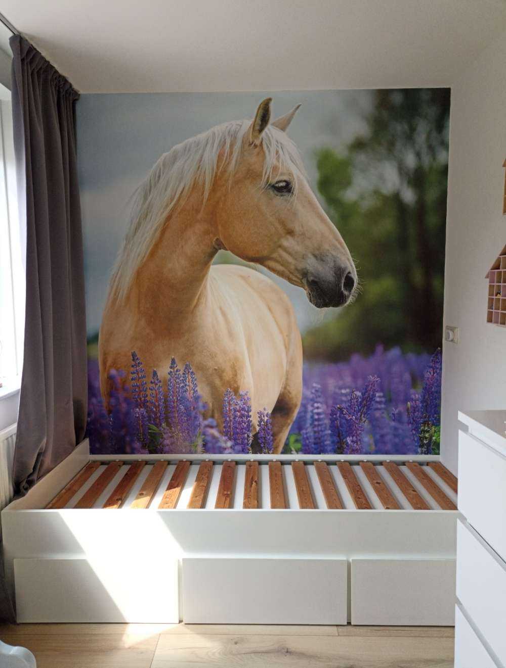 Paard tussen de Lupinus vlinderbloemen