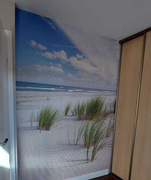 Strand met duinplanten