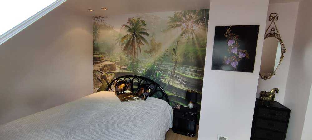 Rijstvelden in de jungle